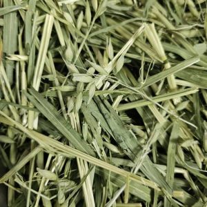 Oat hay bales for sale