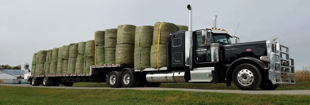 Buy Timothy hay online